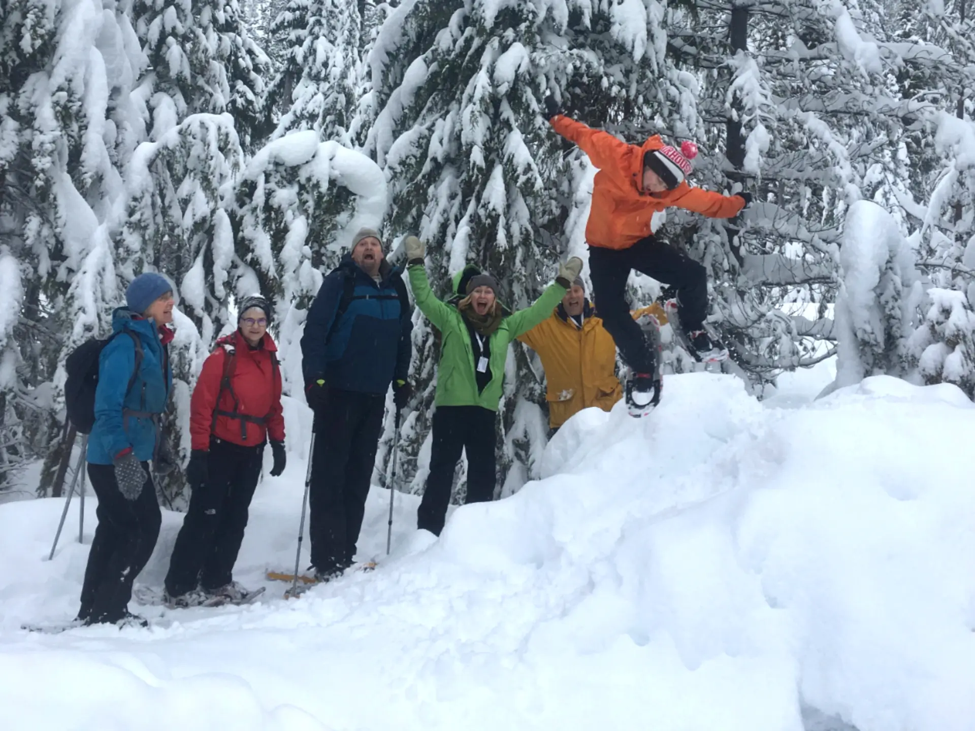 Featured image for “Trip Report – Snowshoeing above the Sea to Sky Gondola – January 26, 2018”