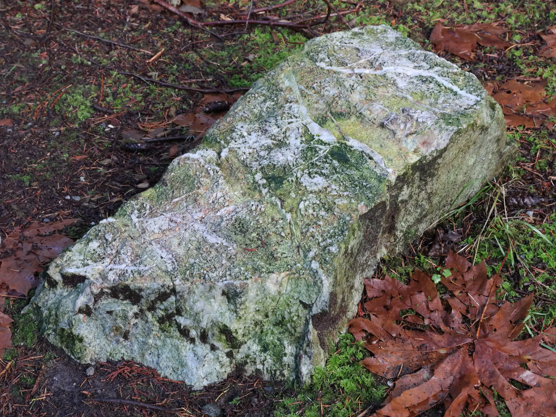 Featured image for “A Tapestry in Rock”