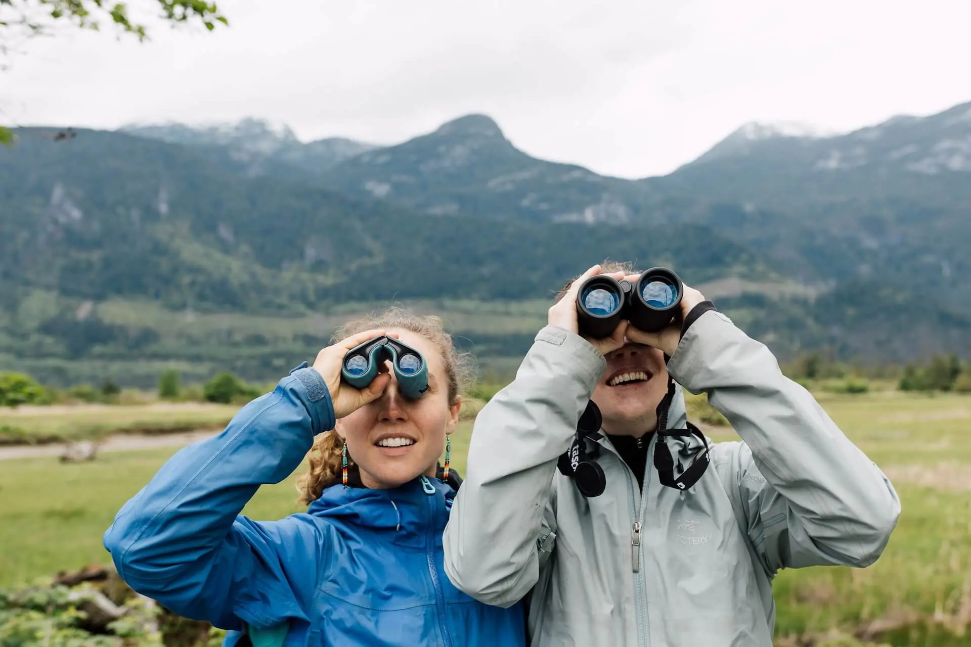 Featured image for “Bird Counts”