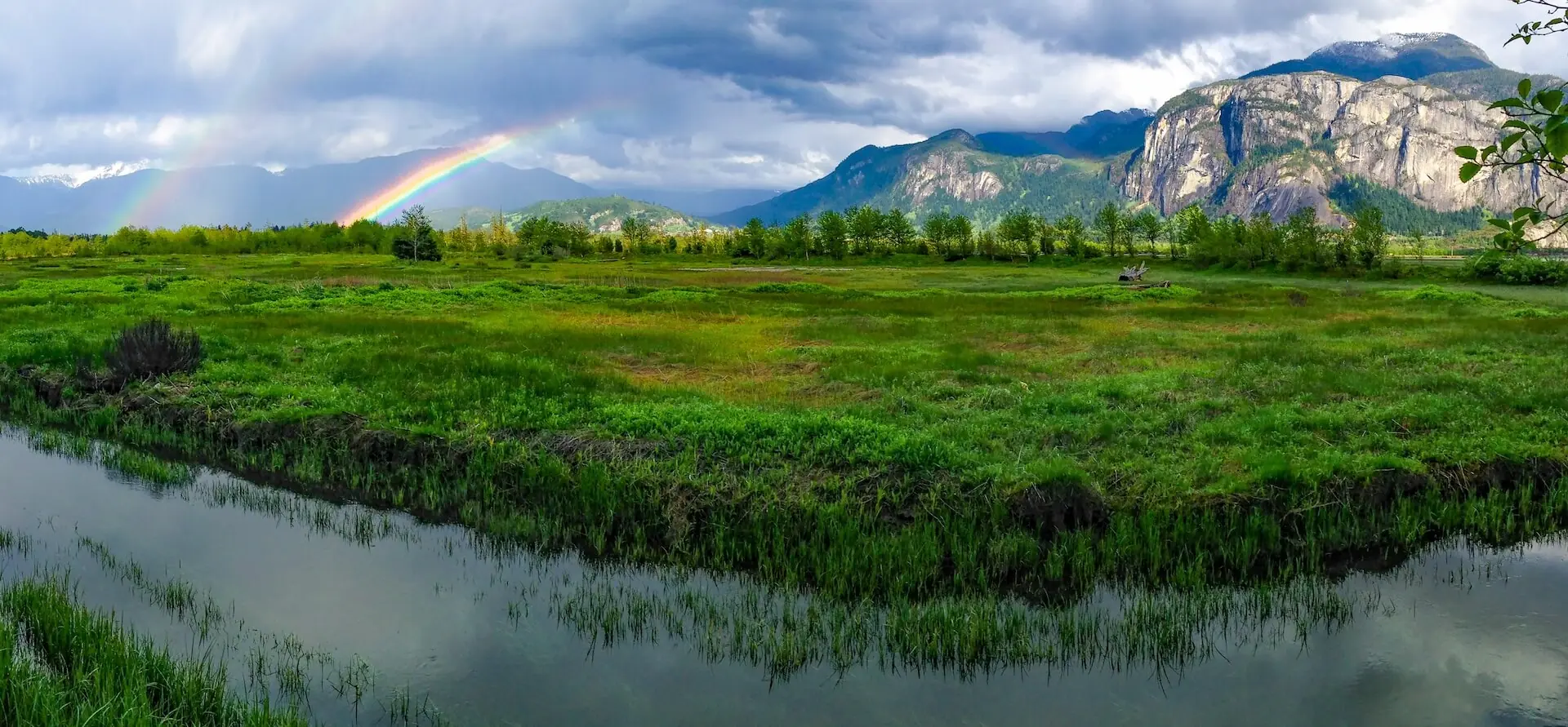 Featured image for “Biodiversity Squamish”