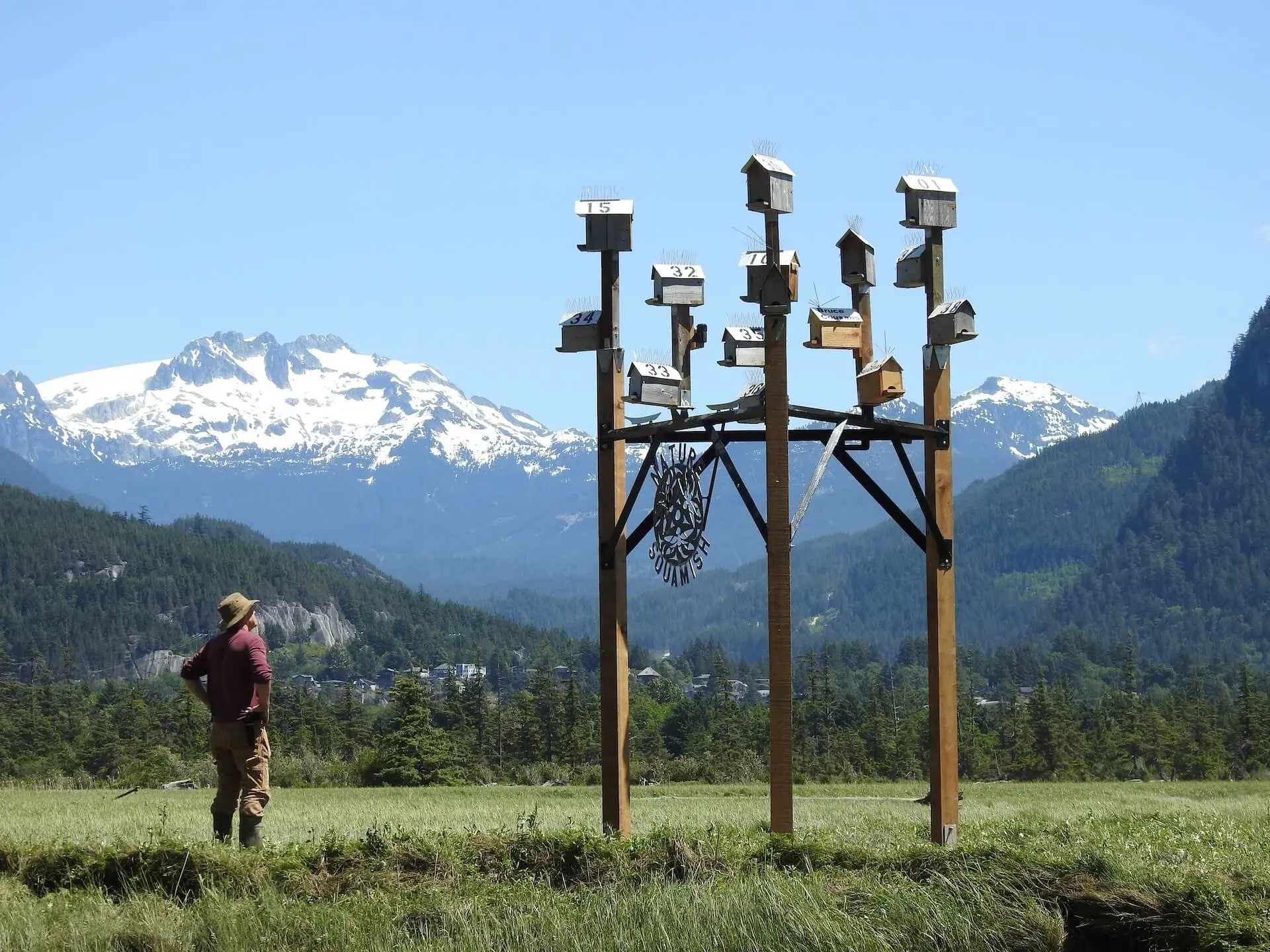 Featured image for “A New Home for Our Purple Martins”