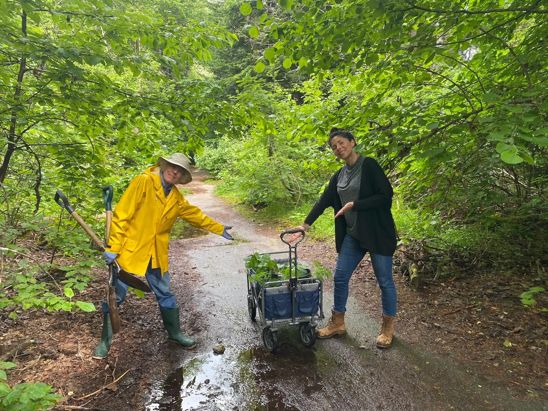 Featured image for “Plant Salvage: Rewilding with Native Plants”