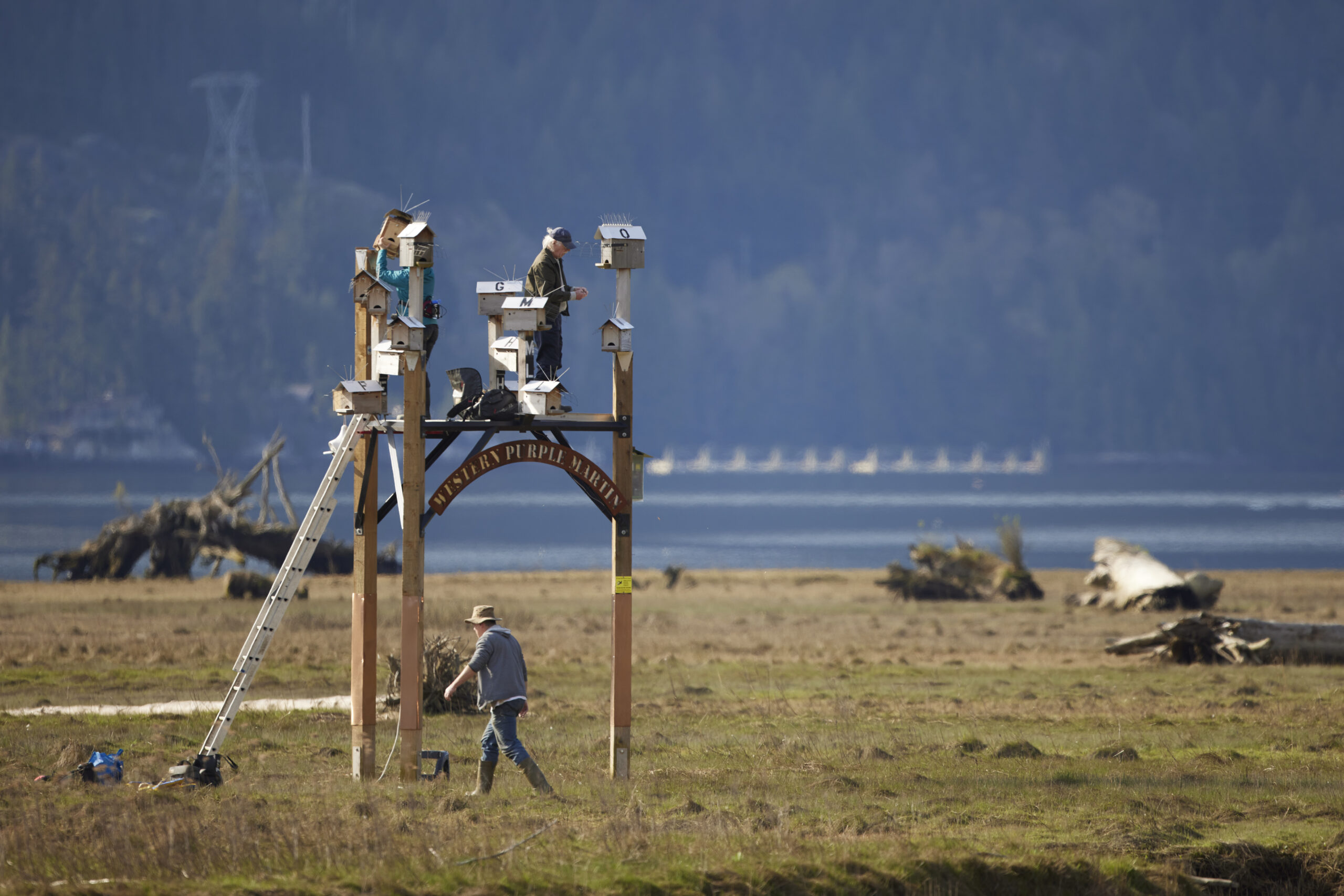 Volunteers working on a platform to install bird boxes.